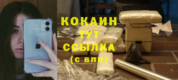 apvp Каменка