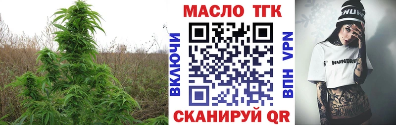 ОМГ ОМГ онион  Инсар  Дистиллят ТГК жижа 