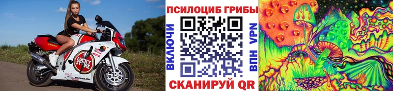 где купить наркоту  Инсар  Псилоцибиновые грибы мицелий 